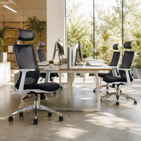 Chaise de bureau exécutive moderne et abordable avec support lombaire, appui-tête, design ergonomique, hauteur réglable, en tissu maillé, pivotante, pour bureau à domicile