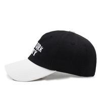 Nouvelle Casquette de Baseball Vintage 2026 à 5 Panneaux avec Lettres Brodés en 3D - Casquette de Rue Unisexe pour Enfants 100% Coton