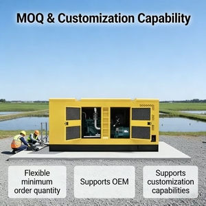 Générateurs diesel portables de 50 kW, 30 kW, 40 kVA, alimentés par un <span class=keywords><strong>moteur</strong></span> électrique, groupes électrogènes diesel silencieux de 20 kW, 25 kVA - Product Image 2