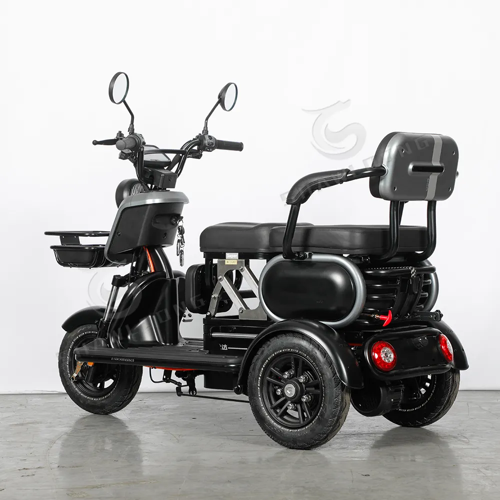 600W Tricycle Electric Bike Three Wheel Electric Motor Bike Adult Two Seat Tricycle