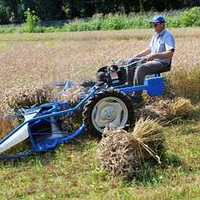 Moissonneuse-lieuse portée BCS pour la récolte du riz |   Champ de riz |   Largeur de travail de 140 mm |   Garantie d'un an