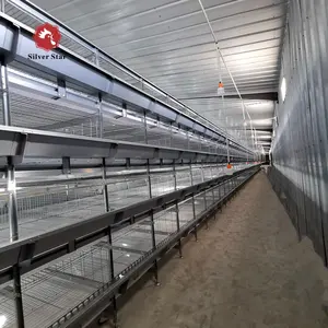 Broiler chicken cage and laying battery hens cage poultry farming equipment