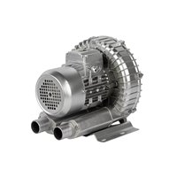 Pompe à air vortex monophasée/triphasée 220V 380V 0,09KW-3KW pour l'oxygénation en aquaculture