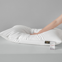 Vente en gros de nouveaux coussins en coton de haute qualité personnalisés pour hôtel, blancs, pour lit d'hôtel