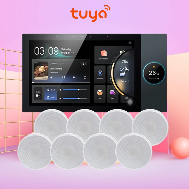 Graffiti Smart Central Control Screen Zigbee Gateway Two-zone Independent Control Background Music Host 10-inch ZKYY-10 No