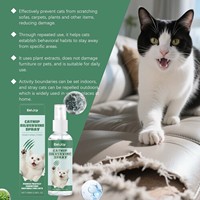 Spray anti-griffures EELJOY à la catnip et à la silvervine, formule douce, guide la correction du comportement du chat, utilisation quotidienne à domicile, flacon pulvérisateur