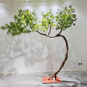 Arbre artificiel <span class=keywords><strong>Pieris</strong></span> réaliste, écologique et durable, taille personnalisée, en gros, avec tronc en bois massif pliable, <span class=keywords><strong>hauteur</strong></span> 200 cm, vert naturel - Product Image 3