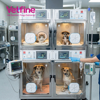 Cage d'unité de soins intensifs vétérinaire pour grands animaux, personnalisable, à oxygène contrôlé, en acier inoxydable 304, avec caractéristiques de sécurité pour animaux de compagnie