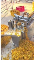 Hoge Kwaliteit Single Riem Type Persimmon Schilmachine Fruit Persimmon Dunschiller Machine Prijs