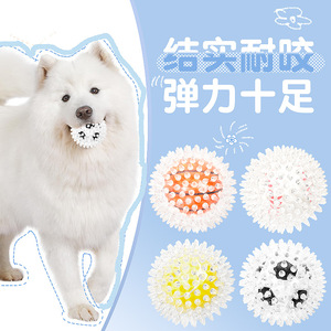 Balle à picots en TPR pour animaux de compagnie, jouet populaire transfrontalier, taille moyenne, pour l'auto-entretenement et l'amusement des chiens - Product Image 1