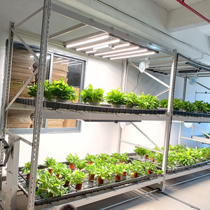 Grande agricoltura serra idroponica sistema di allevamento verticale crescere Rack con riflusso e vassoi di flusso per la coltivazione della tavola - Product Image 4