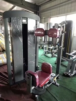 ST-5004 Appareil d'entraînement rotatif pour le tronc en acier à technologie sophistiquée, pour usage commercial en salle de sport