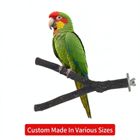 Perchoir en bois naturel pour oiseaux, support en forme de fourche d'arbre, jouet pour perroquet, peut accueillir des branches, accessoires pour cage à oiseaux
