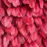 NINI Panneau mural décoratif 5D personnalisé en tissu, motif plumes rouges et fleurs, pour mariage, toile de fond artificielle en soie