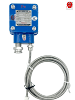 Capteur RTD compact OEM/ODM antidéflagrant à sonde unique double Pt100 2BWZD, deux éléments de détection, un gaine, certifié CCC pour l'espace