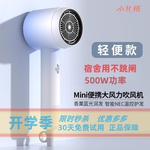 Mini Secador de Pelo de 500W, Bajo Ruido, Portátil, para Estudiantes en Residencia, Secado Rápido con Cuidado de Iones Negativos - Product Image 1