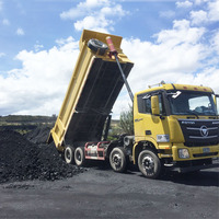 Camion à benne basculante Foton 460HP neuf en stock, prix d'usine, vente chaude