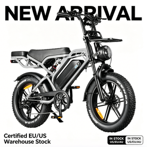 Bicicleta Eléctrica V20 Pro Estilo Italiano Retro, Neumáticos 20"*4.0, Frenos Hidráulicos de 48V, DDP Italia, Entrega a Domicilio, Asientos Expandibles - Product Image 1