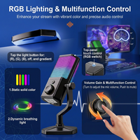 Mikrofon Kondensor USB Tipe C Profesional Plug and Play DSP untuk Gaming, Rekaman, Siaran Langsung, Desktop untuk PC & Ponsel
