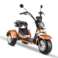 Tricycle électrique puissant Loyal 4000W, moteur performant, flexible, de haute qualité, scooter électrique à 3 roues