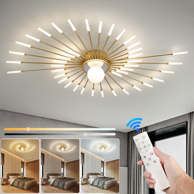 Luxury Creative LED Ceiling Light Dimmable with Remote Control Modern Style Fireworks Ceiling Lamp Living Room Indoor Lighting