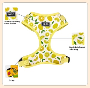 Ceinture de course réfléchissante réglable avec laisse de chien rétractable à poignée rembourrée zippée mains libres pour les races de petite, moyenne et grande taille - Product Image 6