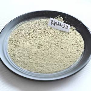 Reguladores de Acidez de <span class=keywords><strong>Gluconato</strong></span> <span class=keywords><strong>Ferroso</strong></span>, Envase Granular de 25 kg, Contenido del 100.6%, 24 Meses de Vida Útil, Envío Directo de Fábrica en China - Product Image 1