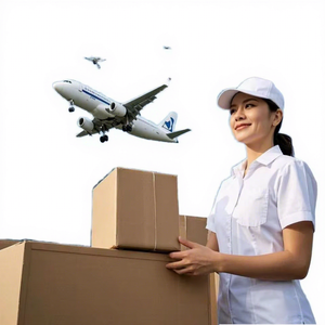 Services logistiques express FBA de Chine vers la Pologne et la Roumanie, transitaire aérien, agent d'expédition privé - Product Image 1