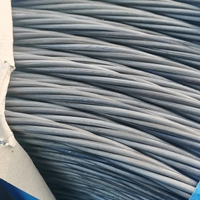 Acier inoxydable toronné dans une tresse 49 fil de perles 0,6 12mm blé à deux brins Chai 7/3.15mm Bs 183 fil galvanisé Oumi