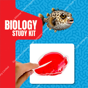 6 styles de jouets : Kit de fouilles pédagogiques de fossiles d'os d'animaux marins pour le soulagement du stress, Jouet d'expérimentation en laboratoire sur les requins, Jouet sensoriel à presser en slime - Product Image 4