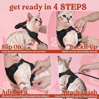 Harnais Réfléchissant Ajustable et Respirant pour Chat avec Décoration Écharpe, en Nylon Doux et Maille, Petite Taille pour la Marche et l'Entraînement en Extérieur
