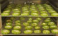 Voedsel Dehydrator Machine Industriële Dehydrator Droger Drogen Fruit Droger