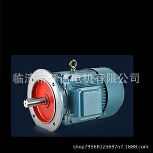 Moteur asynchrone triphasé YE2/YE3/YE4/380V horizontal/vertical, bobine tout cuivre, haute efficacité - Product Image 4