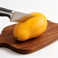 Couteaux de cuisine forgés OEM en acier inoxydable, ensemble de couteaux à éplucher, utilitaires, à pain et de chef, à haute performance et coût-efficace, de la marque TC Stable Supply Chain
