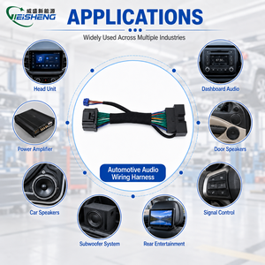 Harnais de câblage audio pour voiture OEM ODM, faisceau de câblage automobile, faisceau de câblage de prise d'alimentation stéréo - Product Image 2