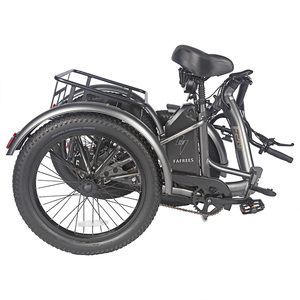 FAFREES F20 Tricycle robuste avec moteur 500W, capacité de charge de 180 kg, autonomie de 110 km, design pliable, vitesse de 30 km/h, 48V EU UK - Product Image 3