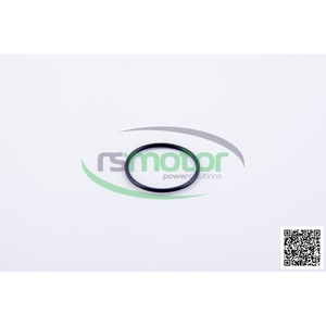 RS-456735ปะเก็นโอริง Jenbacher เพื่อประสิทธิภาพที่มีประสิทธิภาพ - Product Image 5