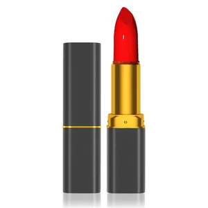 Cosmetics Makeup Silky Smooth Lipstick High Pigment Velvet Matte Lipstick