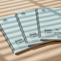 Carnet personnalisé, carnet à spirales, cahiers pour étudiants avec un motif léopard rose mignon, fourniture en gros à bas prix pour l'école et le bureau