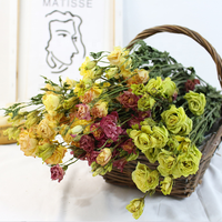 Fleurs et plantes séchées fleur de lisianthus couleur naturelle gentiane des prairies fleurs décoratives plantes