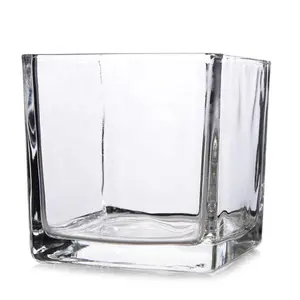 Wholesale Home Decoration Glass Cube Plant Flower Vases Square Clear Glass Vase