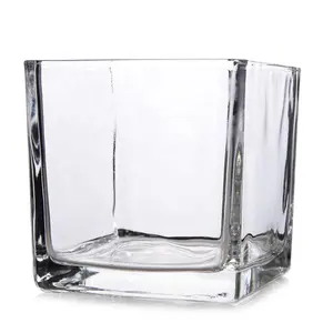 Großhandel Home Decoration Glas würfel Pflanze Blumenvasen Quadratische Klarglas vase