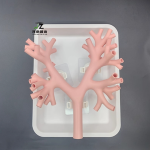 แบบจำลองการสอนและการฝึกอบรมทางการแพทย์สำหรับการส่องกล้องตรวจหลอดลมระดับสี่แบบแข็งรุ่นใหม่ ต้นแบบหลอดลม - Product Image 6