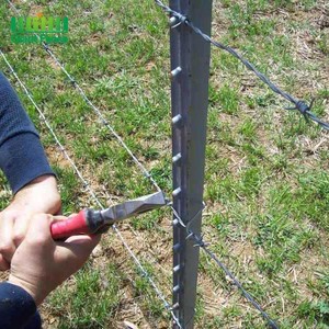 Venta al por mayor americano <span class=keywords><strong>1</strong></span> 25lbs/ft 6ft pintado de negro galvanizado T Post Fencesteel de la cerca de la malla - Product Image 2