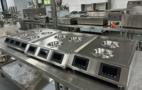 Machine à vapeur électrique pour gâteaux, petits pains, dim sum, four à vapeur pour pain chinois, momo