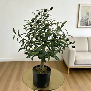 olivier - Product Image 3