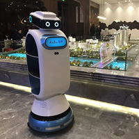 Robot de Servicio Humanoide con IA Inteligente Totalmente Automático para Museos, Salas de Exposiciones, Parques de Atracciones y Resorts - Marca Funinvr Metal