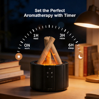 Petits appareils électroménagers en dropshipping : Diffuseur de parfum flamme avec télécommande pour voiture et maison