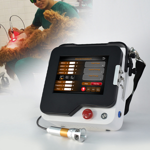 Fisioterapi IV kelas daya tinggi 660nm <span class=keywords><strong>808nm</strong></span> 980nm 1064nm mesin terapi <span class=keywords><strong>Laser</strong></span> untuk nyeri punggung - Product Image 6