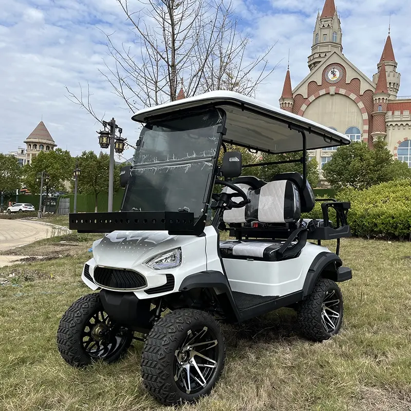 Preiswerter Touristen 4-Rad-Antrieb Klapp-Scheinwerfer elektrischer Golfwagen zu verkaufen